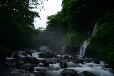 Scenic view of waterfall in forest