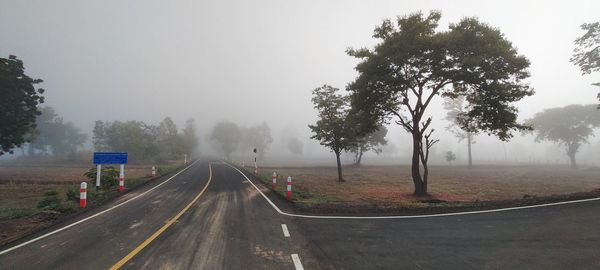 Road by trees against sky