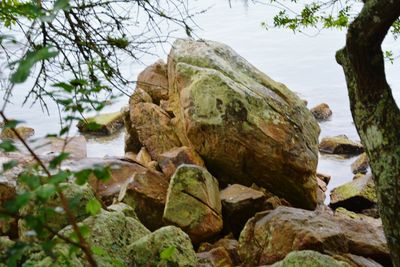 Rocks in sea