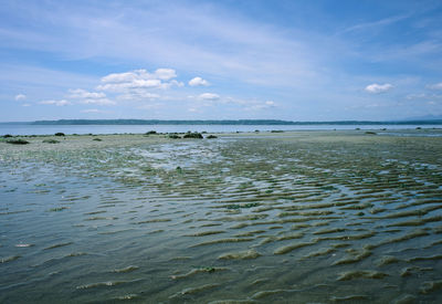 Scenic view of beach against sky