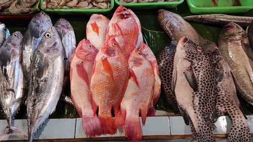 Fresh fish at the stall on traditional market in depok jawa barat indonesia
