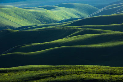 environment