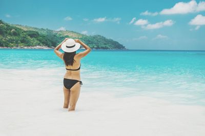 Rear view of sensuous woman wearing bikini at beach