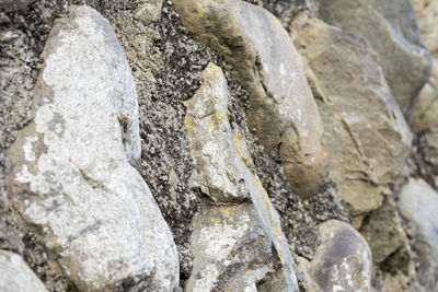 Close-up of rocks