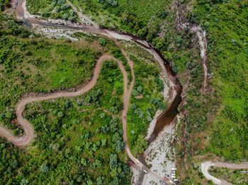 High angle view of road amidst trees in forest