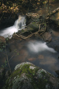 Water flowing through rocks in forest