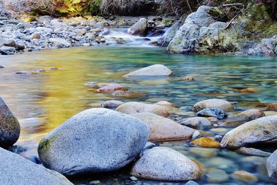 Rocks in lake at forest