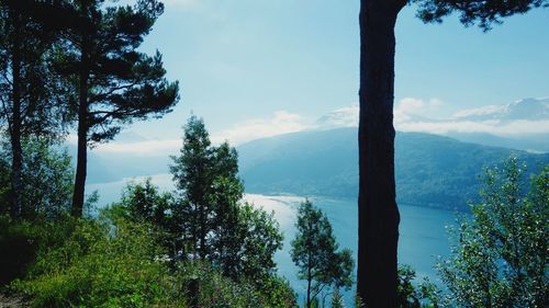 Scenic view of lake by trees against sky