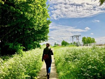 Rear view of woman walking on footpath amidst plants