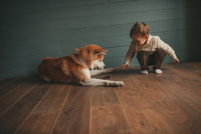 Candid authentic happy little boy in knitted beige sweater hugs dog with bow tie at home on xmas