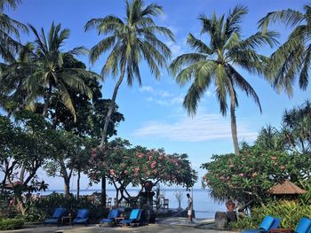 People by palm trees on beach against sky