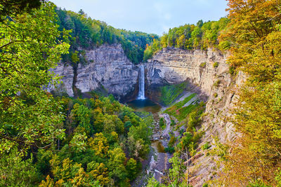 Scenic view of waterfall in forest