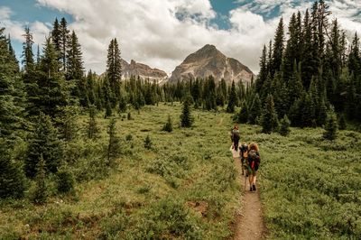 Man hiking on grassy field