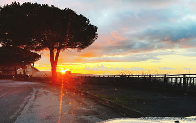 Road by trees against sky during sunset