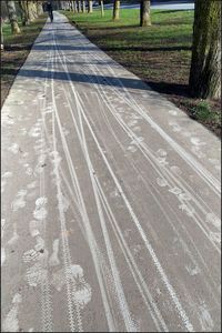Close-up of road