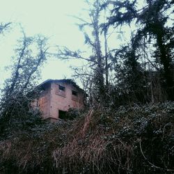 Built structure with trees in background