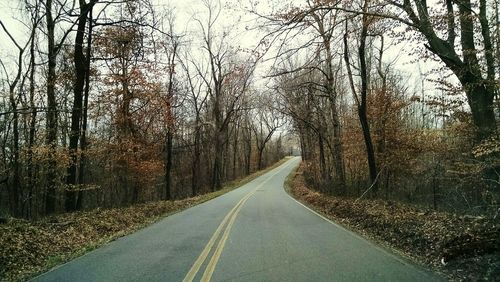 Road passing through forest