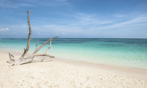 Tropical beach scenery, andaman sea, view of koh hong island krabi,thailand