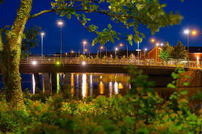 Illuminated street lights by lake against sky at night