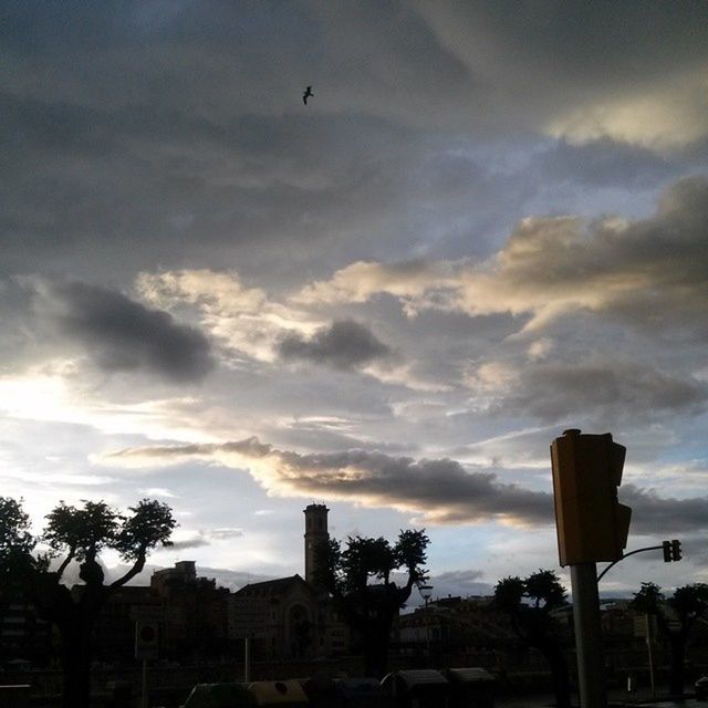 sky, cloud - sky, building exterior, built structure, architecture, cloudy, bird, tree, low angle view, cloud, animal themes, flying, street light, sunset, silhouette, nature, city, outdoors, house, no people