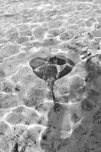 High angle view of sand at beach