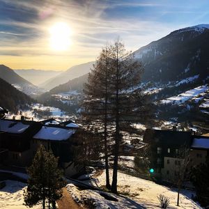 Trees and buildings against sky during winter