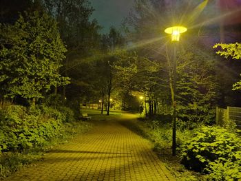 Illuminated street amidst trees in park at night