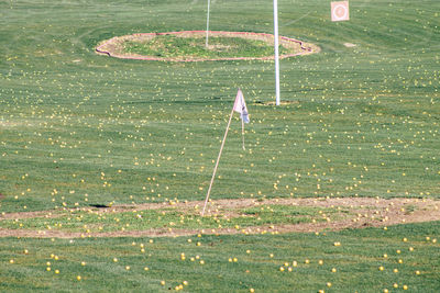 High angle view of golf course on field