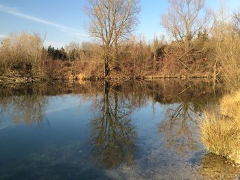 Reflection of trees in lake against sky