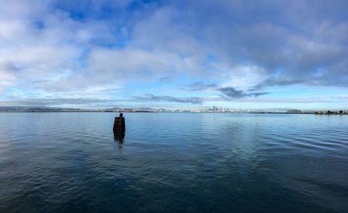 Rear view of man in sea against sky