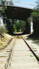 Railroad tracks amidst trees by train
