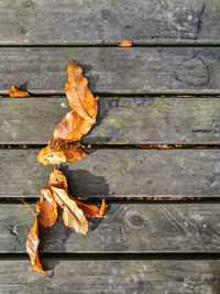 High angle view of dry leaves on wooden plank