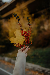 Midsection of person holding maple leaf during autumn