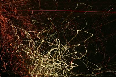 Blurred motion of bare trees in dark