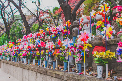 Full frame shot of flowers