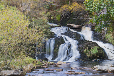 View of waterfall in forest