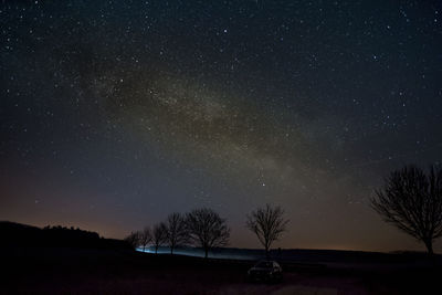 Trees against sky at night