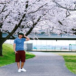 Full length portrait of man standing by cherry tree