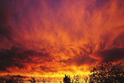 Low angle view of silhouette trees against dramatic sky