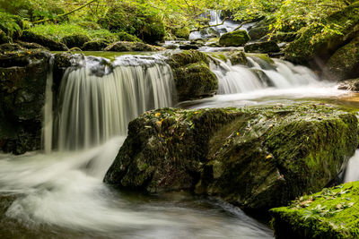 Scenic view of waterfall in forest