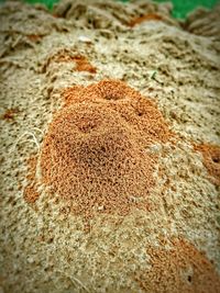 Close-up of sand