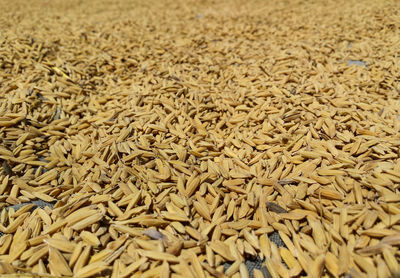 Full frame shot of rice