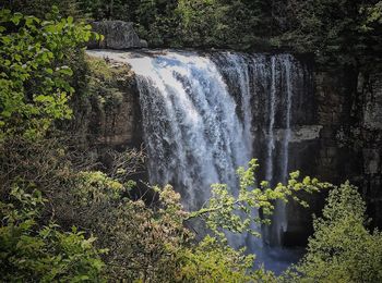 Scenic view of waterfall in forest