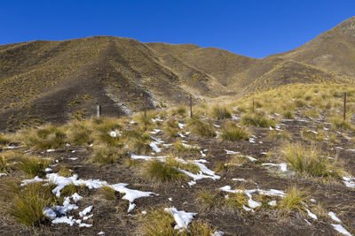 Scenic view of landscape against clear blue sky