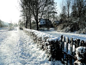 Railing on snow covered field against trees