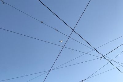 Low angle view of power cables against blue sky