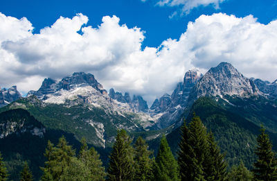 Panoramic view of pine trees and mountains against sky