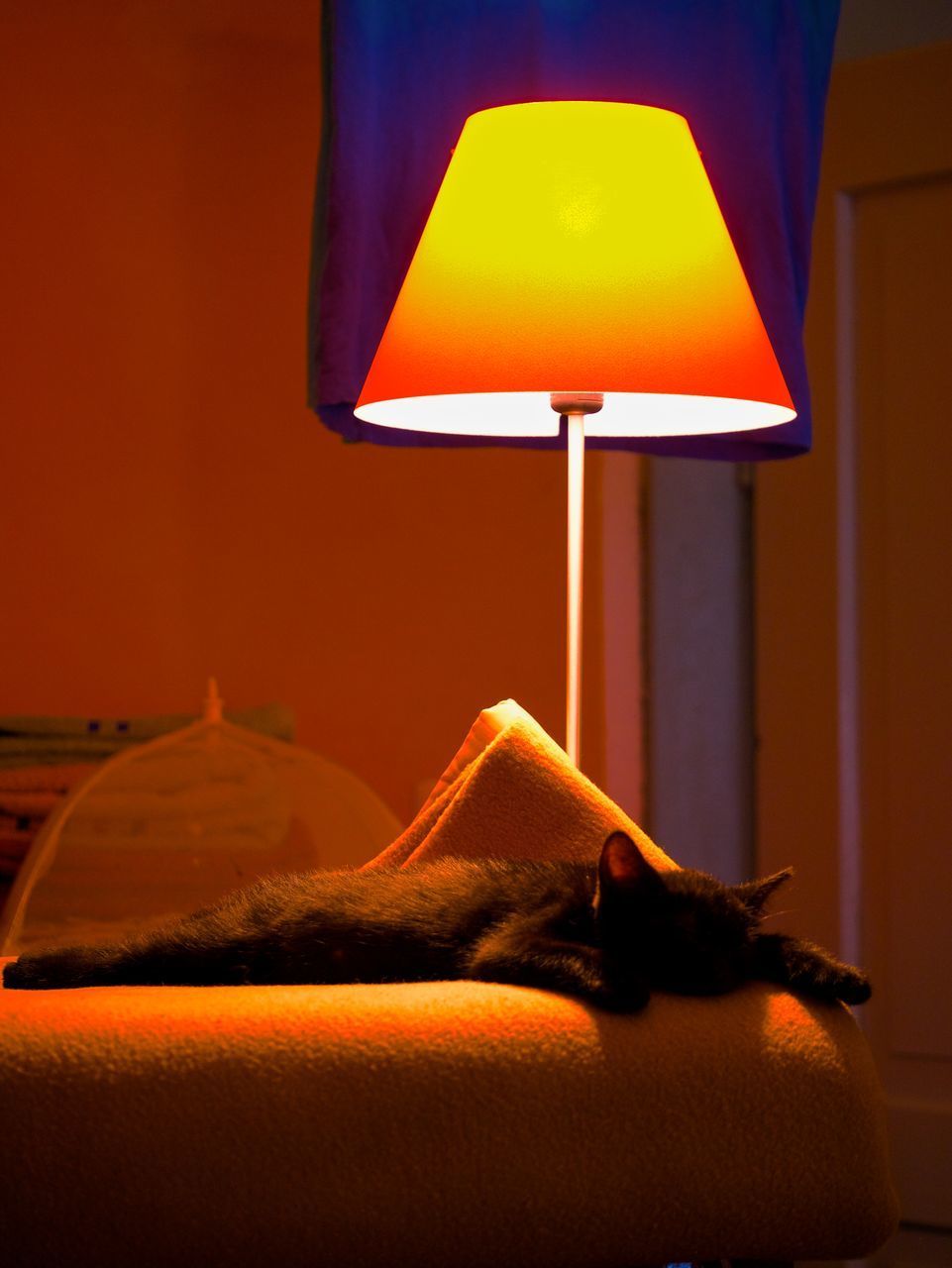 CLOSE-UP OF ILLUMINATED ELECTRIC LAMP ON TABLE