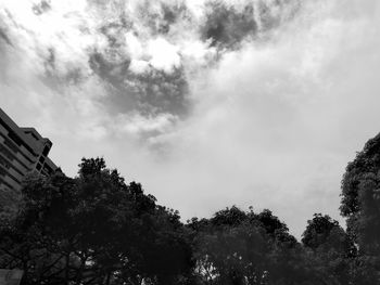 Low angle view of trees against cloudy sky