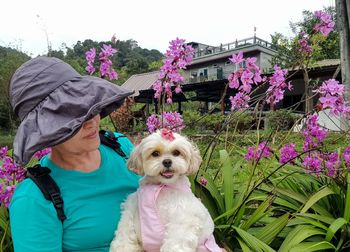 Rear view of dog with pink flowers